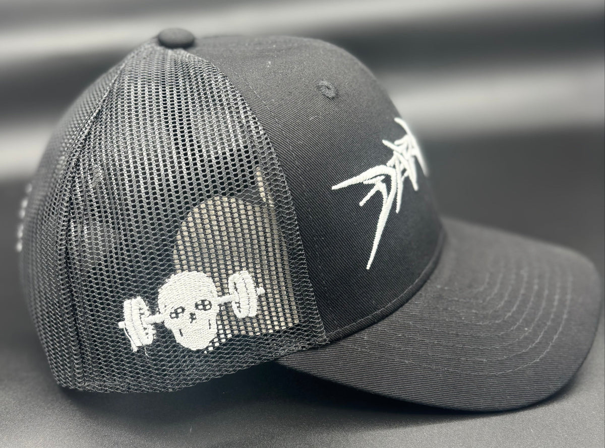 Tempered: Snapback